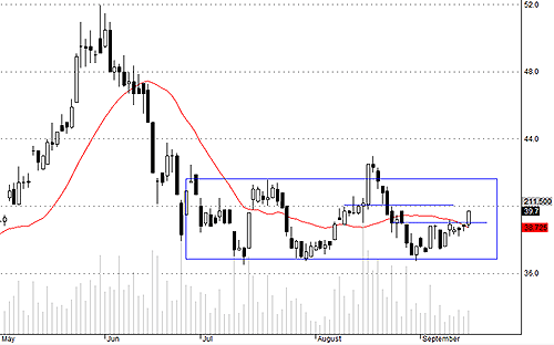 HSG được nước ngoài đẩy giá lên khỏe hôm nay.