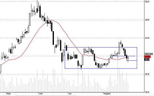 Blog chứng khoán: Bull-trap?