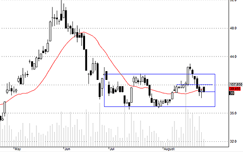 HSG hôm nay giao dịch không hưởng quyền cổ tức tiền mặt 500 đồng.