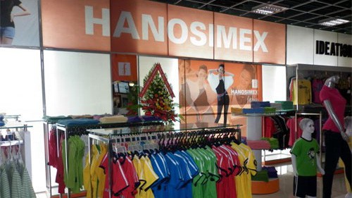 Hanosimex là một tổng công ty lớn nằm trong chuỗi cung ứng Sợi - Dệt – May của Vinatex với các nhà máy sản xuất tại Hà Nội, Hưng Yên, Hà Nam, Nghệ An, Hà Tĩnh và hoạt động trong các lĩnh vực kéo sợi, may, sản xuất khăn, dệt vải, kinh doanh thương mại, logistic.