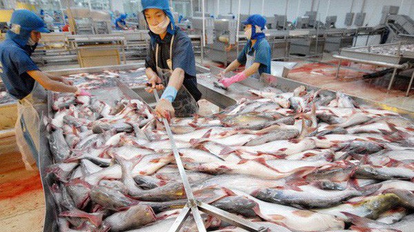 Hùng Vương trần tình thua lỗ lần đầu sau 10 năm thành lập.