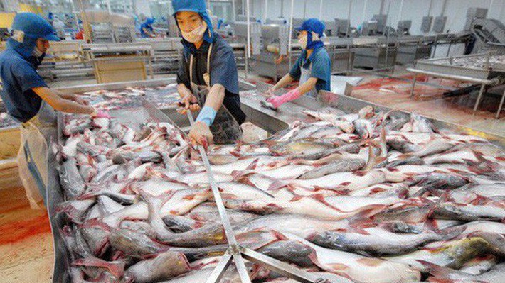 HVG bất ngờ lỗ gấp 10 lần sau khi kiểm toán. 