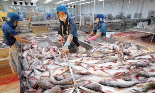 Thaco trao tay hơn 56,5 triệu cổ phiếu HVG