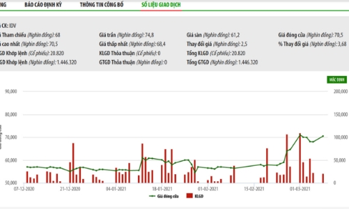 Lãnh đạo IDV bị phạt do báo cáo không đúng hạn