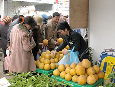 Chỉ có 10% hàng nông sản của Việt Nam có thương hiệu, còn lại 90% là “mượn” thương hiệu nước ngoài, khi thông qua trung gian để bán.