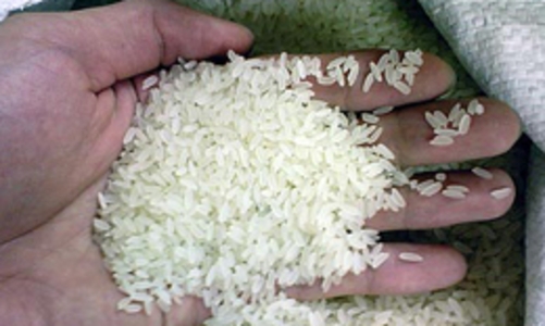 Giá gạo thế giới trong xu hướng tăng