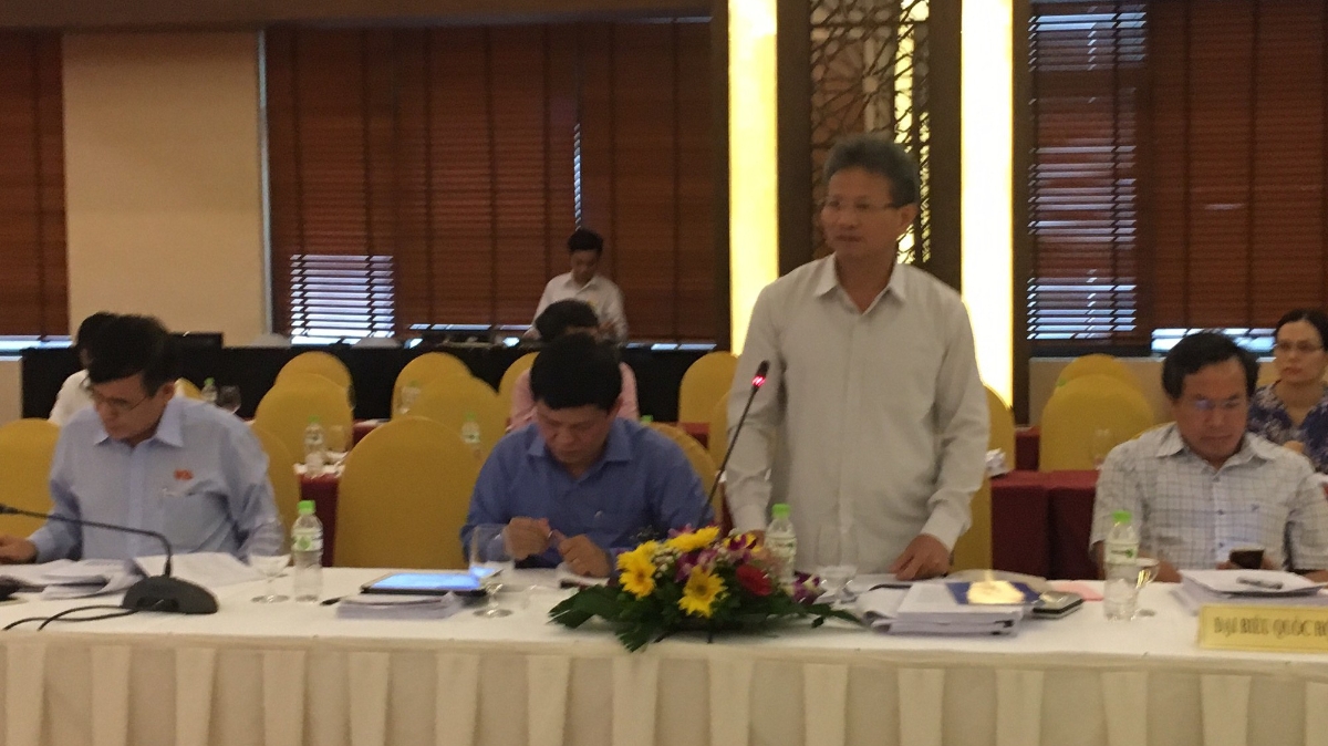 Uỷ viên Thường trực Uỷ ban Kinh tế, đại biểu Đỗ Văn Sinh phát biểu.