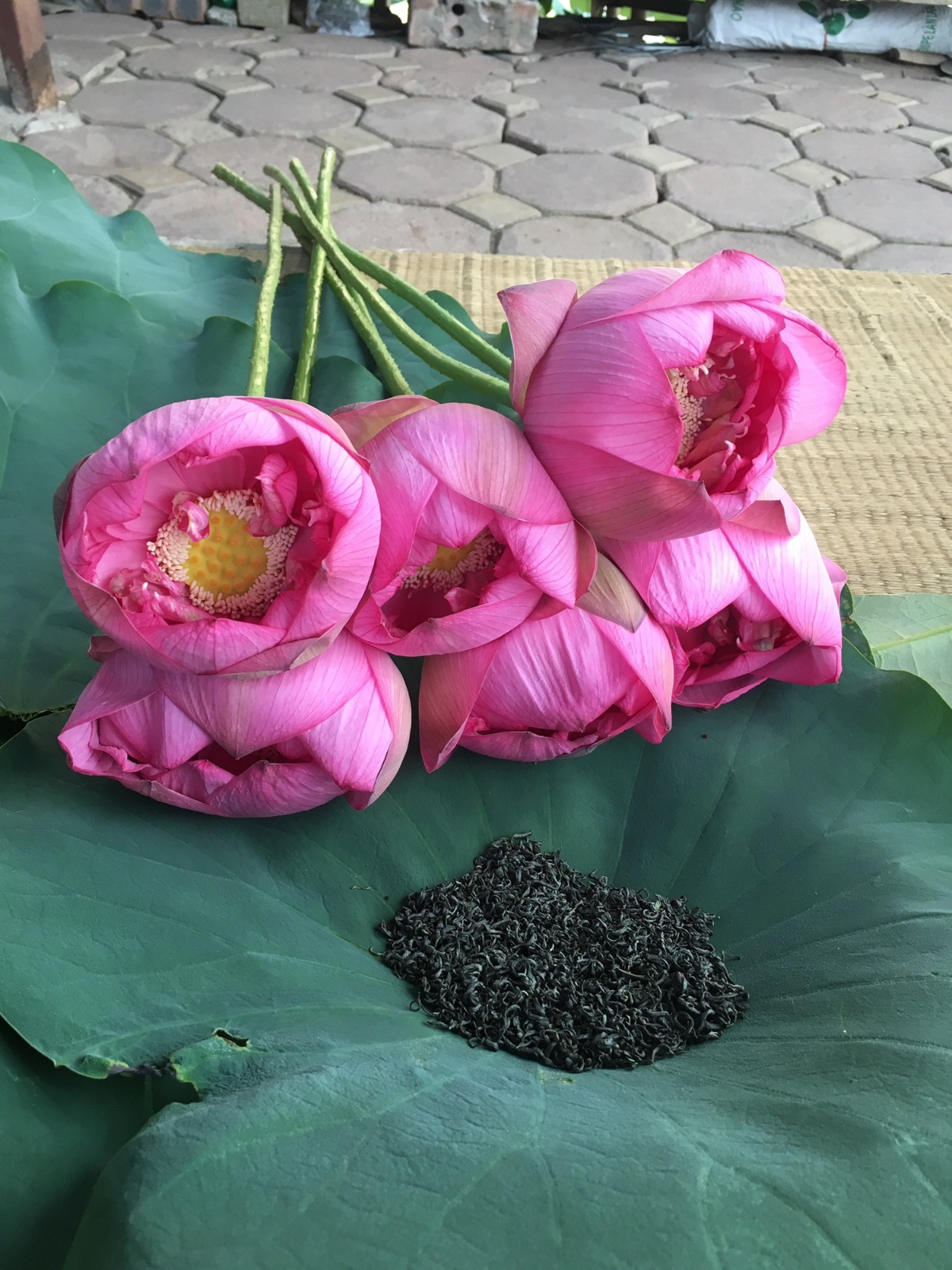 Khi trà sen không còn là của hiếm - Ảnh 1.