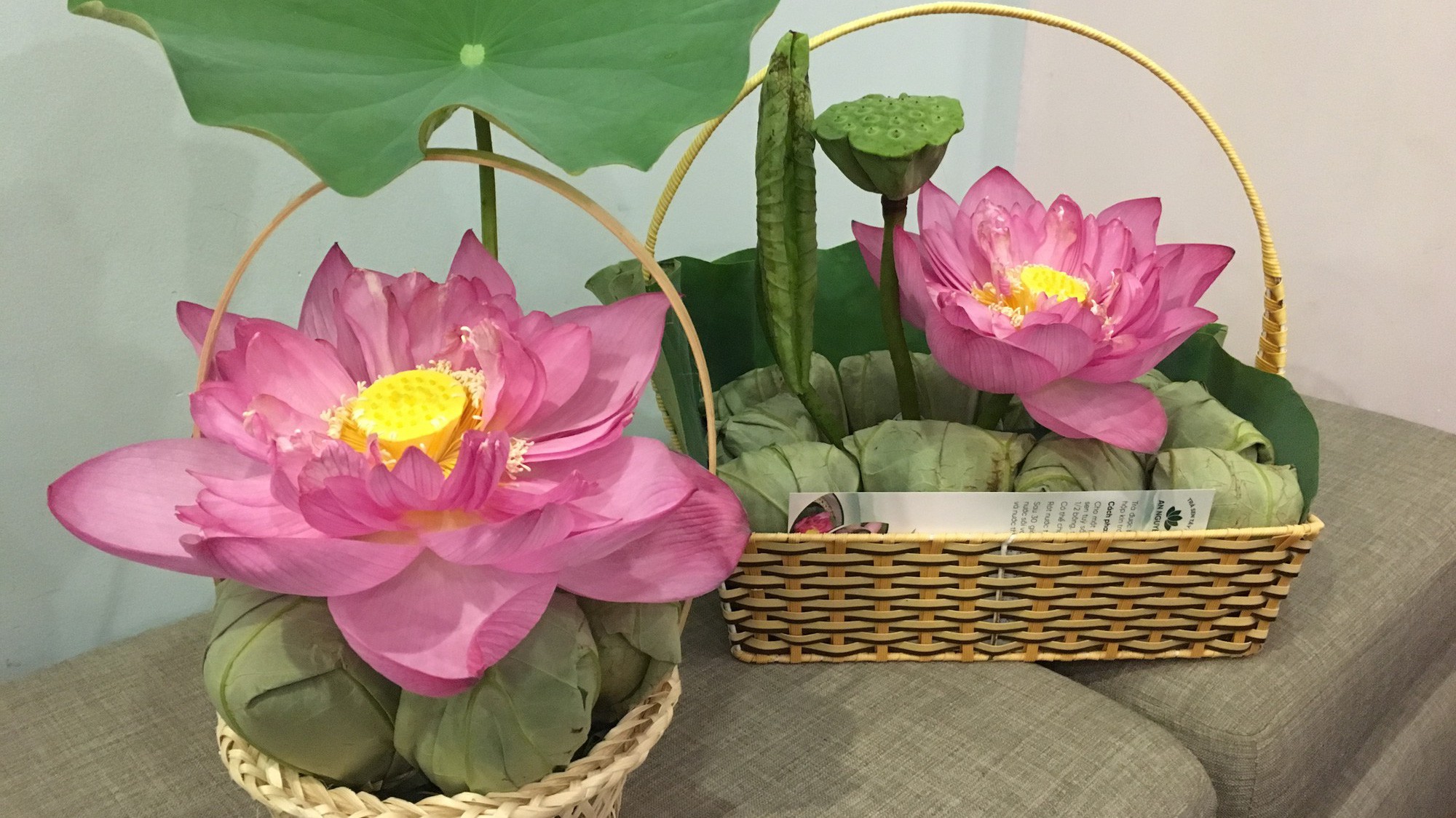 Trà sen đã trở thành một quà tặng độc đáo, rất Hà Nội - Ảnh - Mỹ An 