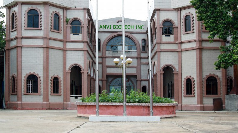 AMV được thành lập từ năm 2002.