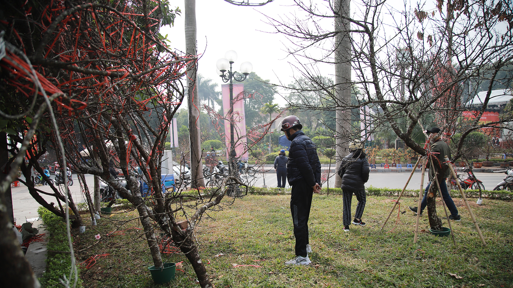 Ảnh: Phương Thảo