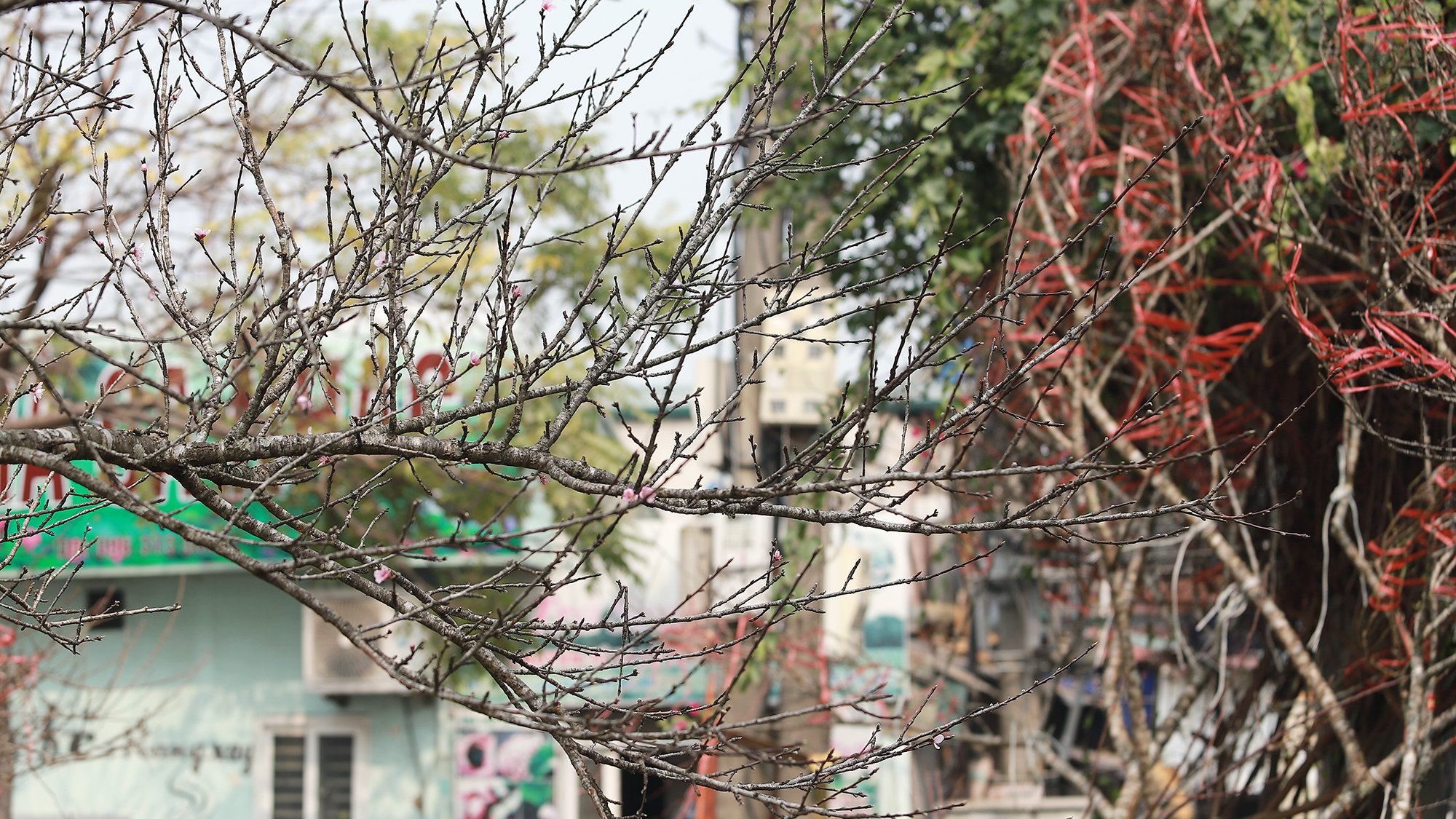 Ảnh: Phương Thảo