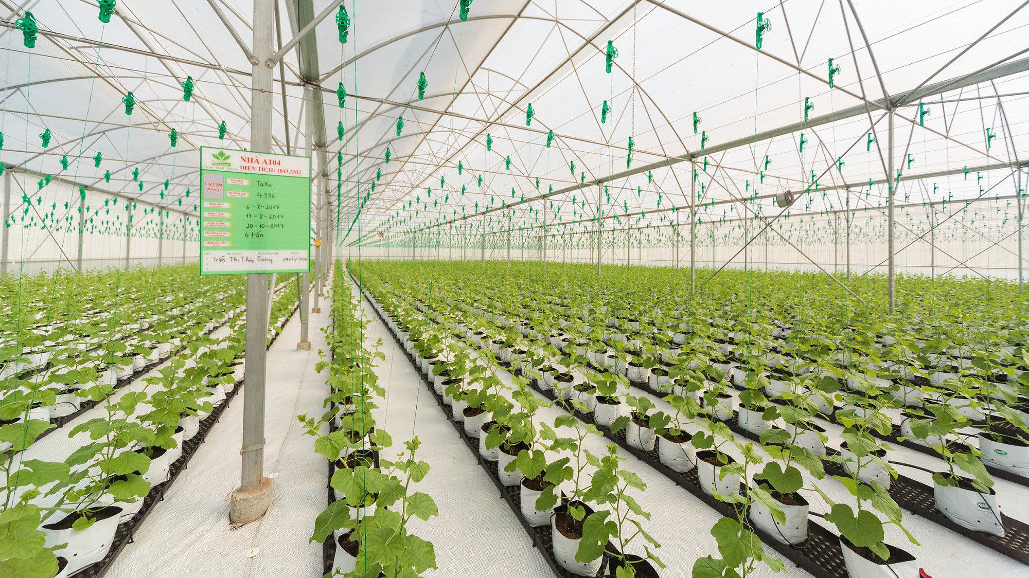 Lũy kế 6 tháng đầu năm, doanh thu thuần của PAN đạt 3.546 tỷ đồng, tăng 136% so với cùng kỳ.