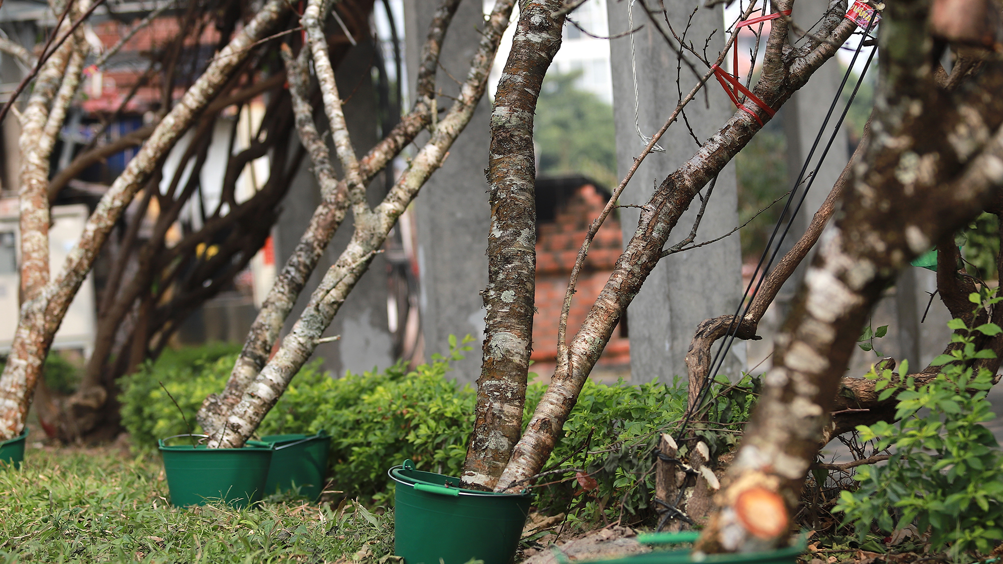 Ảnh: Phương Thảo