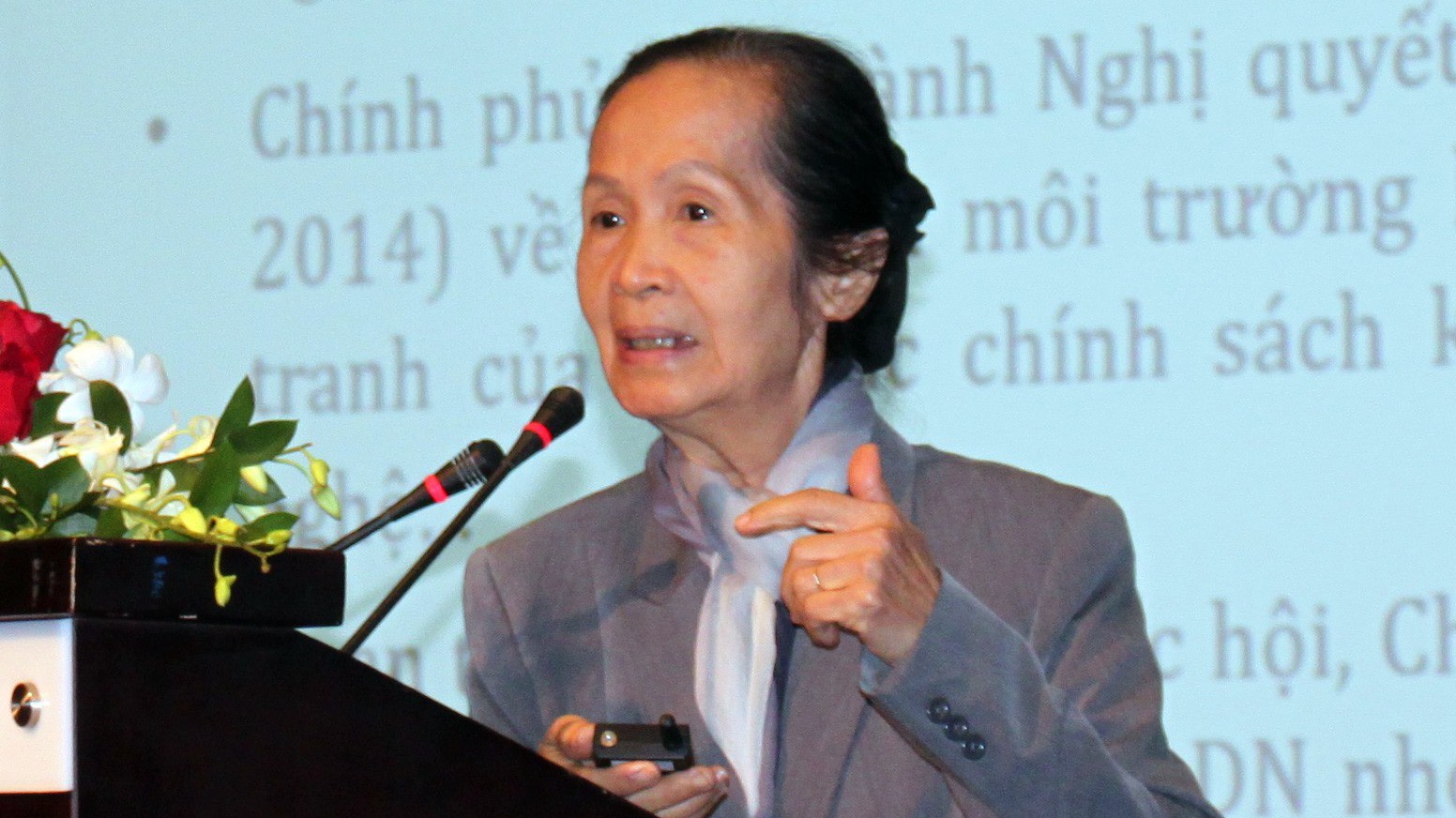 Chuyên gia kinh tế Phạm Chi Lan phát biểu tại hội thảo.