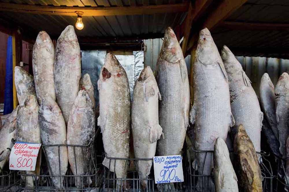 undefined - Ảnh 11.