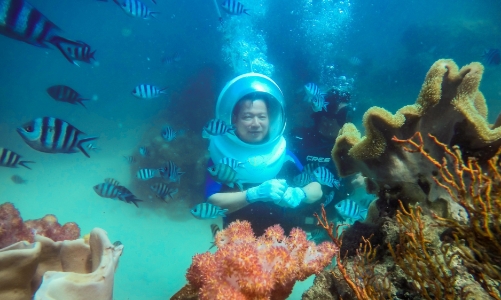 Shark Nguyễn Thanh Việt bắt tay Seaworld đánh thức tiềm năng dịch vụ biển Phú Quốc