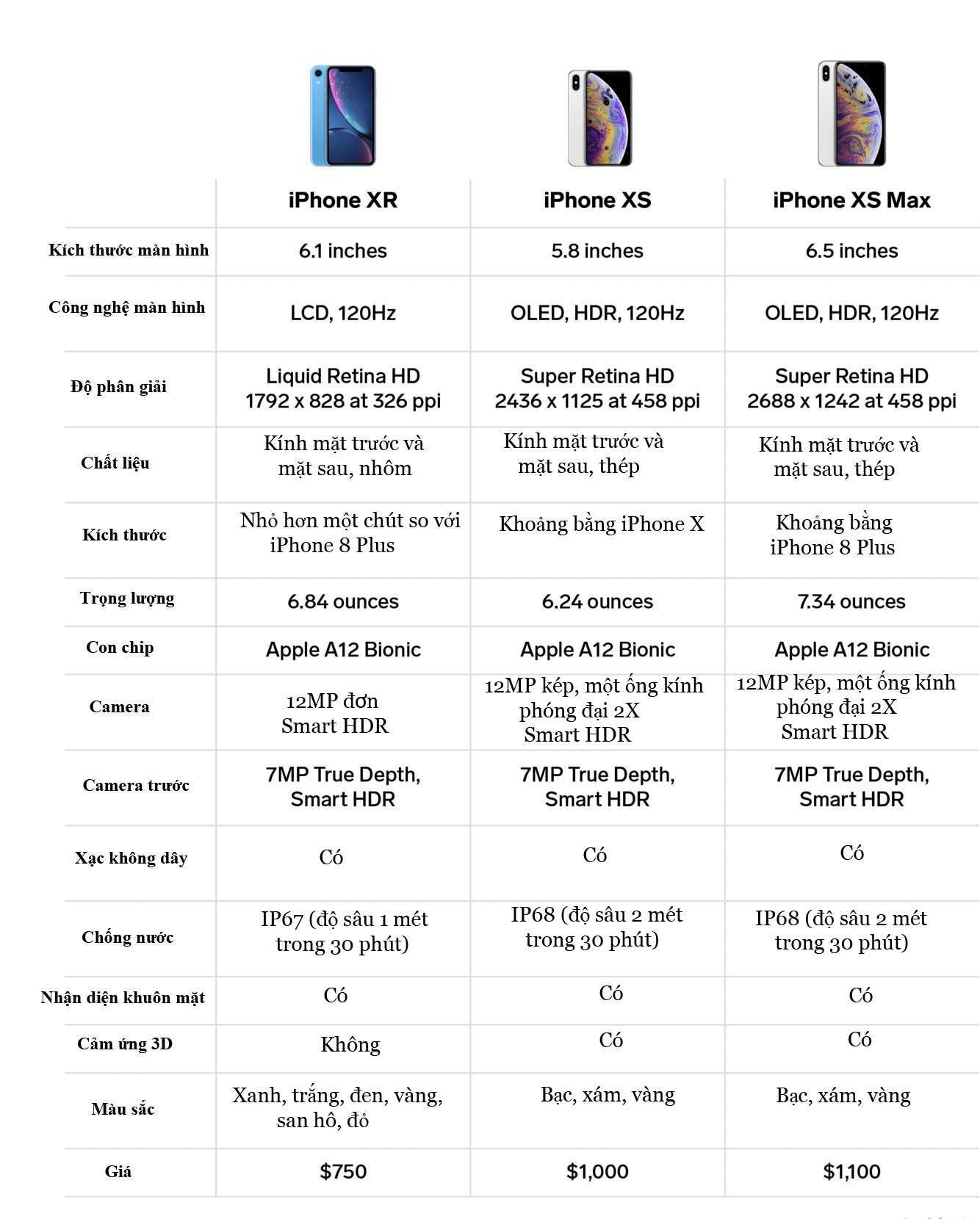 3 mẫu iPhone mới nhất giống, khác nhau ở điểm gì? - Ảnh 1.