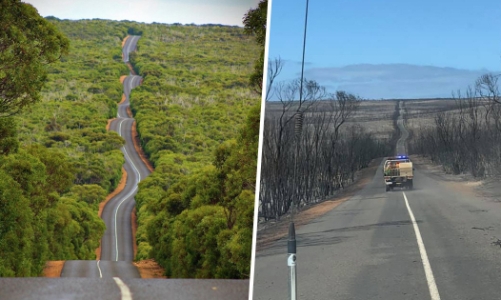 Những hình ảnh lột tả sức tàn phá khủng khiếp của thảm họa cháy rừng ở Australia