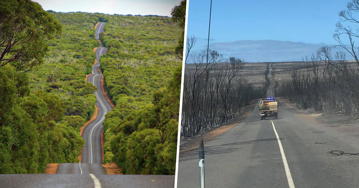 kangaroo_island_before_and_after_