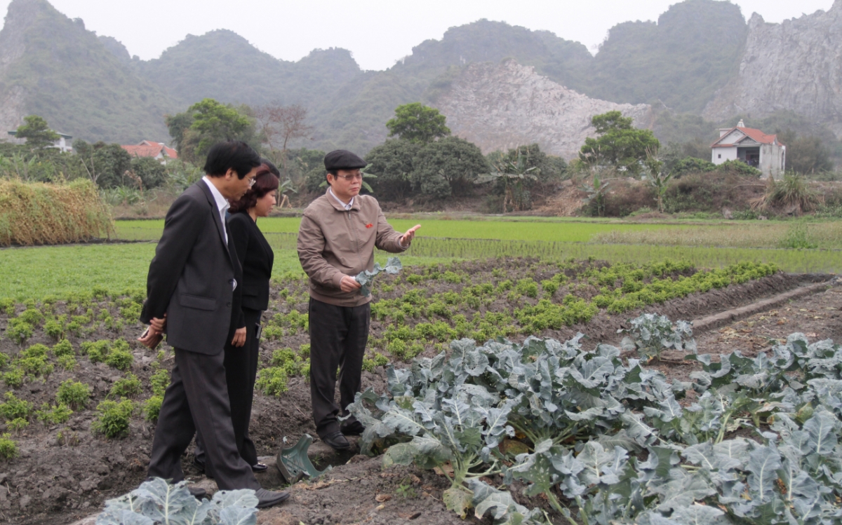 Ông Hiển cầm trên tay lá rau phủ dày bụi than, tại điểm dừng "ngoài kế hoạch" trên đường đi giám sát tại Quảng Ninh - Ảnh: Mỹ An.<br>