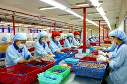 Doanh nghiệp cần giữ chân lao động qua đào tạo nghề - Ảnh: Việt Tuấn.