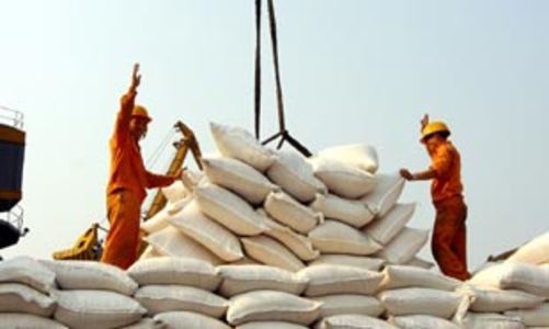 Ai đang ép giá lúa gạo?