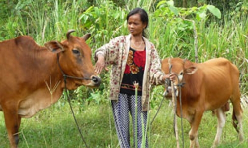 Xóa nghèo: Vẫn chuyện “con cá”, “cần câu”