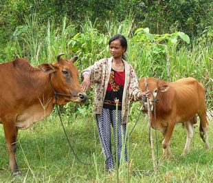Chị Bi Năng Thị Điu ở thôn Đa Răm (huyện Khánh Vĩnh, Khánh Hòa), một trường hợp được hỗ trợ và đã thoát nghèo bền vững - Ảnh: HL.
