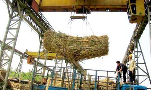 Ngành mía đường lại thua đau