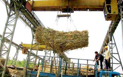 Tồn kho đường đã lên cao nhất từ trước tới nay, lượng đường tồn kho tại các nhà máy tính đến 3/5/2013 còn 579.818 tấn - Ảnh minh họa. 