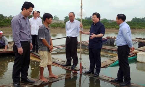 Có thể hợp tác với chuyên gia nước ngoài tìm nguyên nhân cá chết