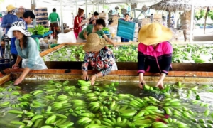 Xuất khẩu sang Trung Quốc ngày càng khó