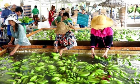 Xuất khẩu sang Trung Quốc ngày càng khó