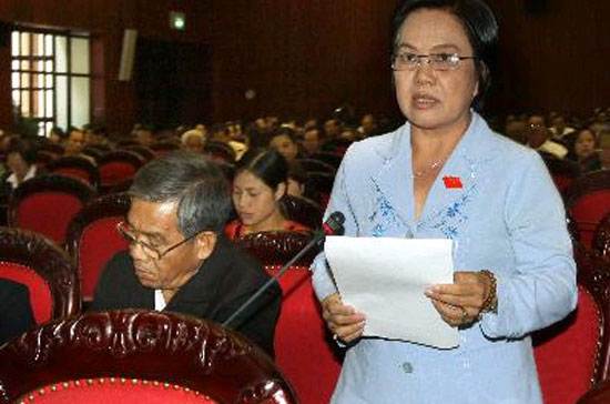 Quốc hội thảo luận về dự án Luật bảo vệ quyền lợi người tiêu dùng - Ảnh: TTXVN.