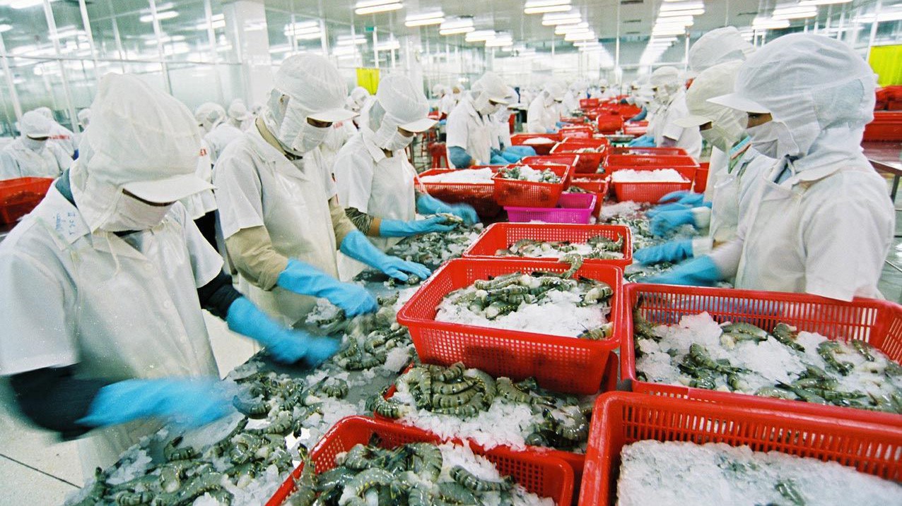 Ngân hàng Thế giới dự kiến tăng trưởng kinh tế của Việt Nam ở mức 6,7% trong năm nay. 