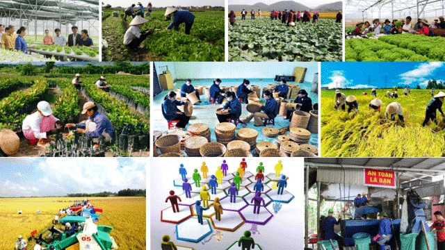 Phấn đấu 60% tổng số hợp tác xã hoạt động từ loại khá trở lên; 20% cán bộ quản lý hợp tác xã tốt nghiệp đại học, cao đẳng trở lên trọng tất cả các ngành, lĩnh vực.