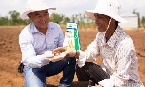 Phát triển bền vững - 