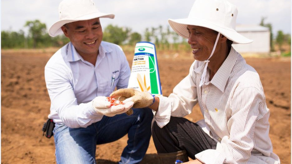 Kỹ sư Syngenta đồng hàng cùng nhà nông trên đồng ruộng.