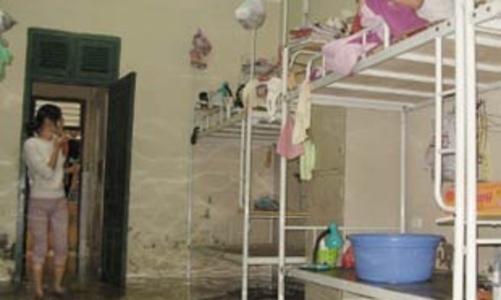 Chính phủ  tiếp tục đề nghị sửa hai luật thuế