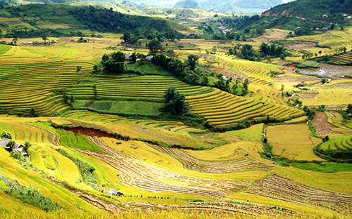 <font face="Arial, Verdana"><span style="font-size: 13.3333px;">Ruộng bậc thang tại Lai Châu được xem là có sức hút đặc biệt đối với mỗi du khách khi đặt chân tới mảnh đất miền núi này.</span></font>