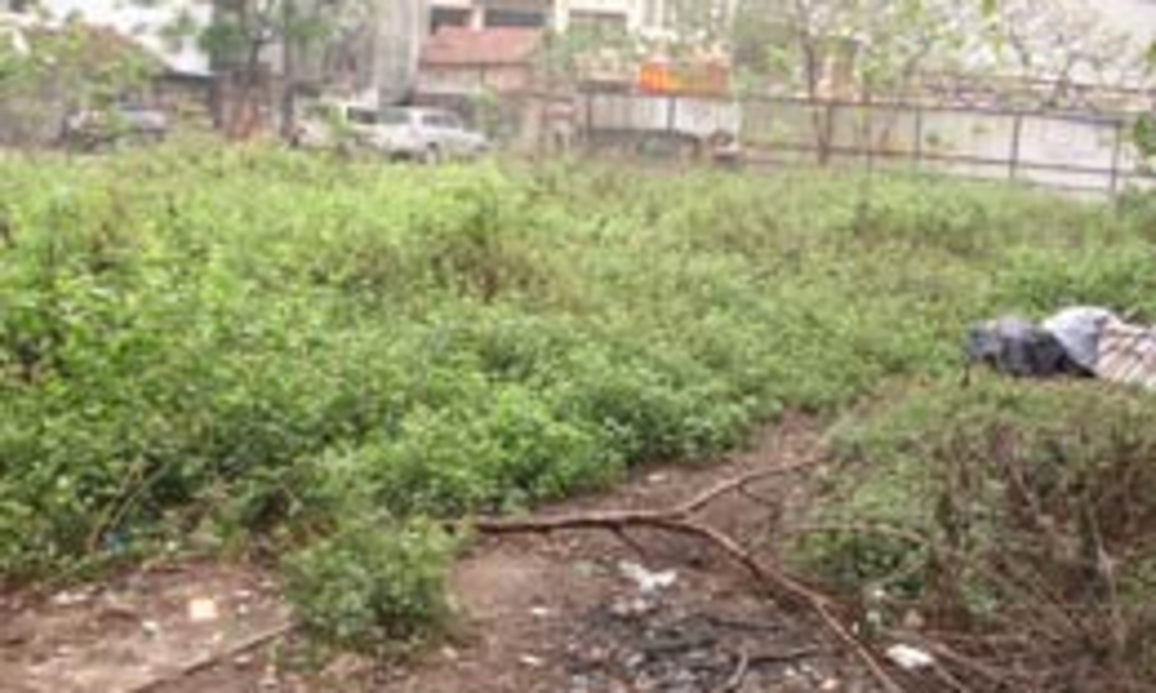 Lãng phí trong quản lý, sử dụng đất đang gây bức xúc trong dư luận - Ảnh minh họa.