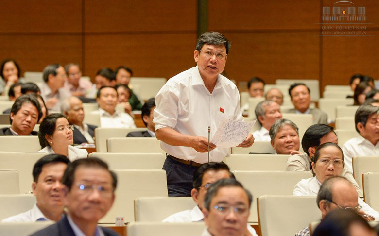 Đại biểu Lê Nam từng phát biểu: “Quốc hội khóa 13 sẽ rất vinh dự là Quốc hội trả nợ được nhân dân Luật Biểu tình, mà 12 khóa Quốc hội trước đây chưa có điều kiện thực hiện”.<br>