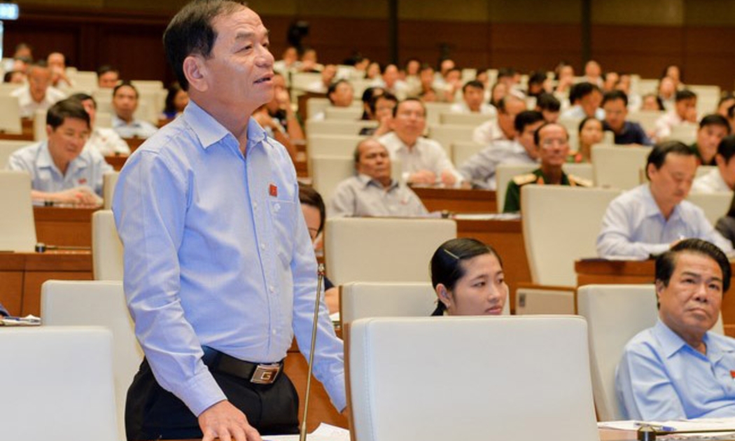 Đai biểu Quốc hội Lê Thanh Vân.