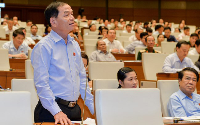 Đai biểu Quốc hội Lê Thanh Vân.