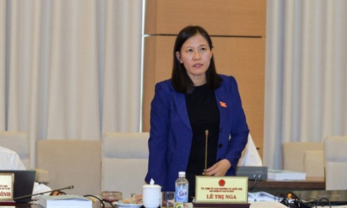 Luật Đặc khu kinh tế: Đặc biệt nhưng không được trái Hiến pháp