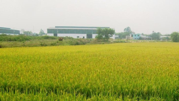 Ảnh minh họa