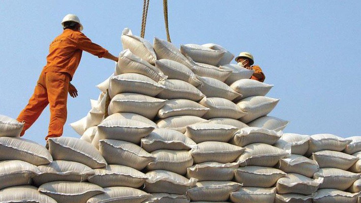 Năm 2019, dự kiến diện tích lúa trên cả nước là 7,53 triệu ha, năng suất trung bình 58,1 tấn/ha. Ảnh minh họa.