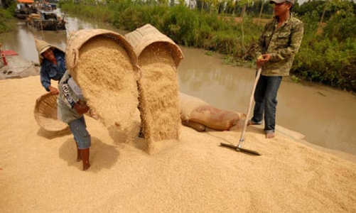 Xuất khẩu gạo: Lo, không chỉ bởi cung - cầu