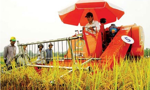 Xuất khẩu gạo: 